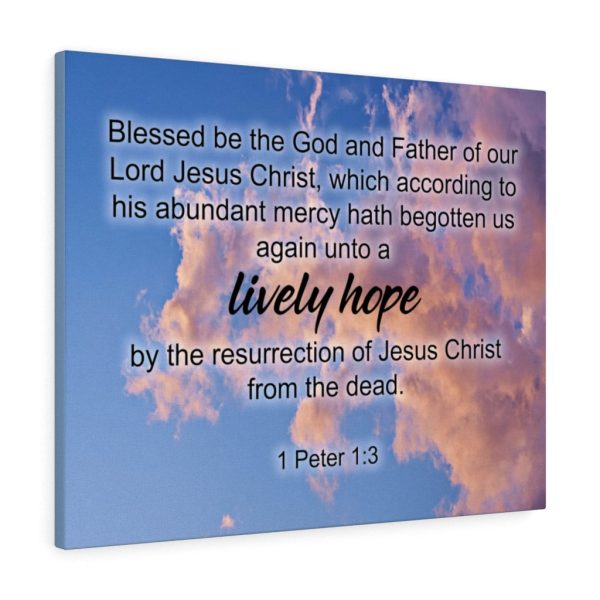 Scripture Canvas Lively Hope 1 Peter 1:3 Christian Bible Verse Meaningful Framed Prints, Canvas Paintings - Image 5